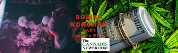 молекула духа Новозыбков