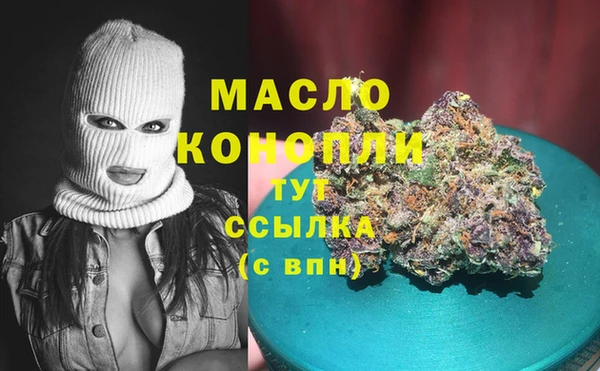 молекула духа Новозыбков