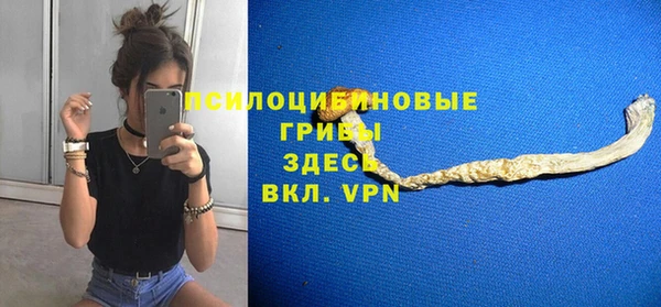 молекула духа Новозыбков
