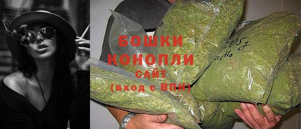 крисы Шали