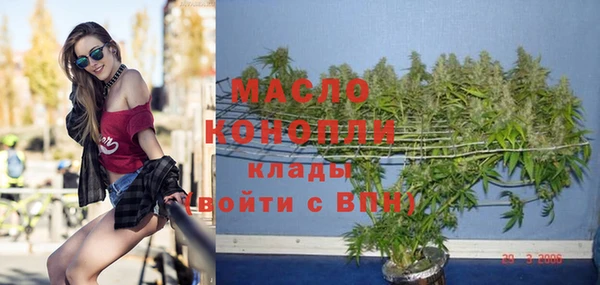 прущие грибы Новодвинск