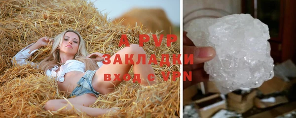 стаф Нефтекумск