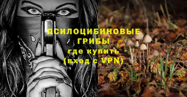 молекула духа Новозыбков