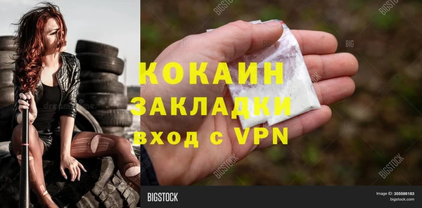 прущие грибы Новодвинск